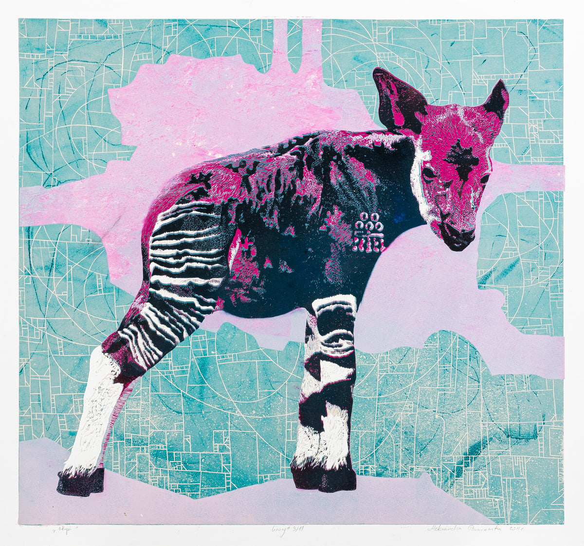Okapi 3_11 by Aleksandra Prusinowska