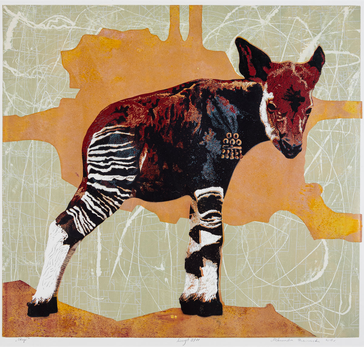 Okapi 8_11 by Aleksandra Prusinowska