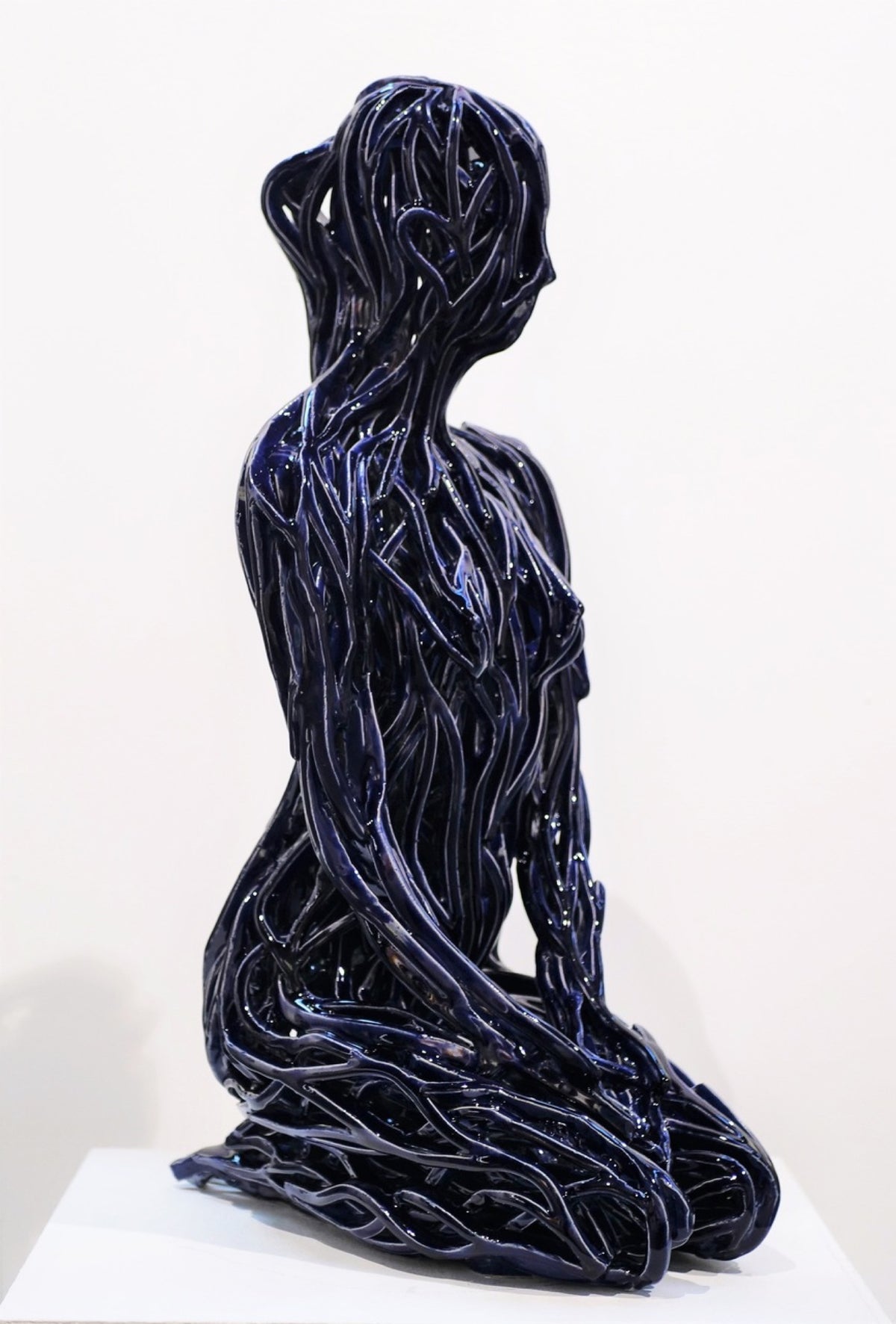 S Navy Blue 42/100 by Zbigniew Blajerski