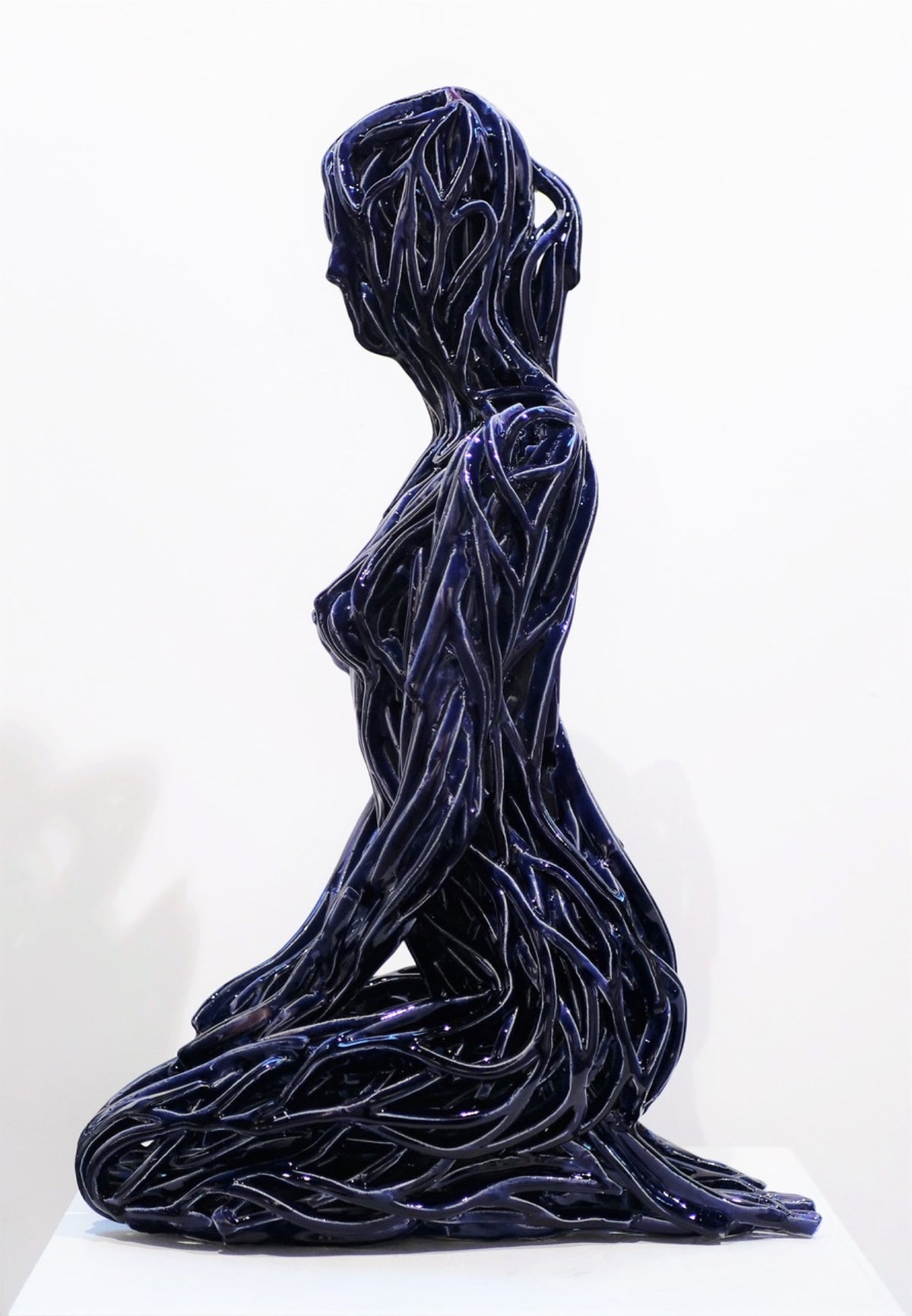 S Navy Blue 42/100 by Zbigniew Blajerski