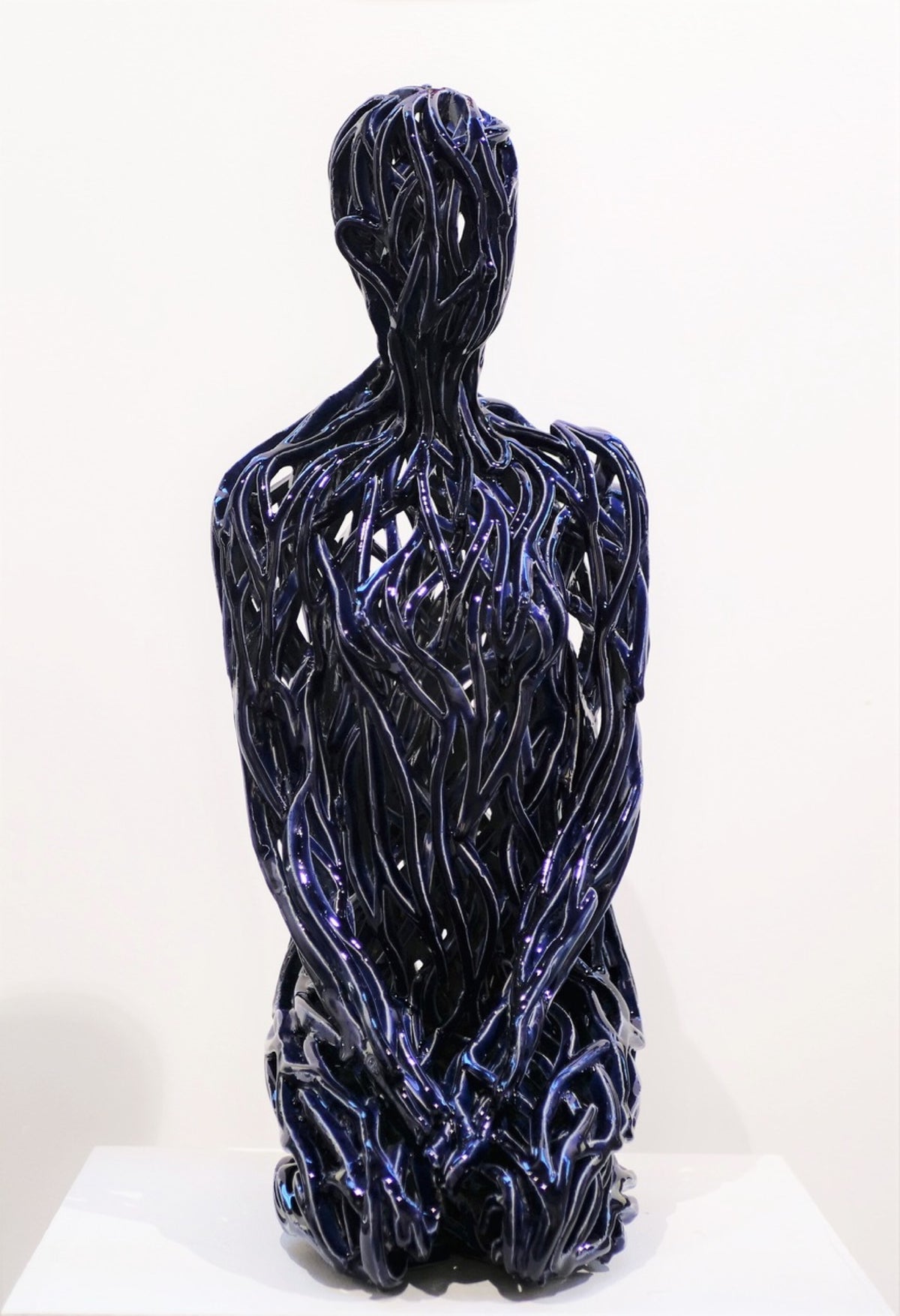 S Navy Blue 42/100 by Zbigniew Blajerski