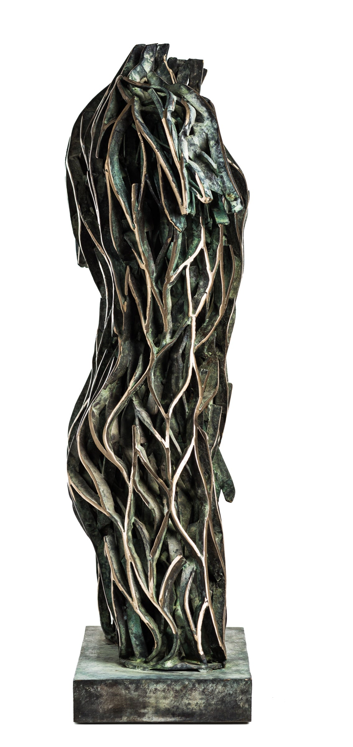 TMMP Bronze 1/8 by Zbigniew Blajerski
