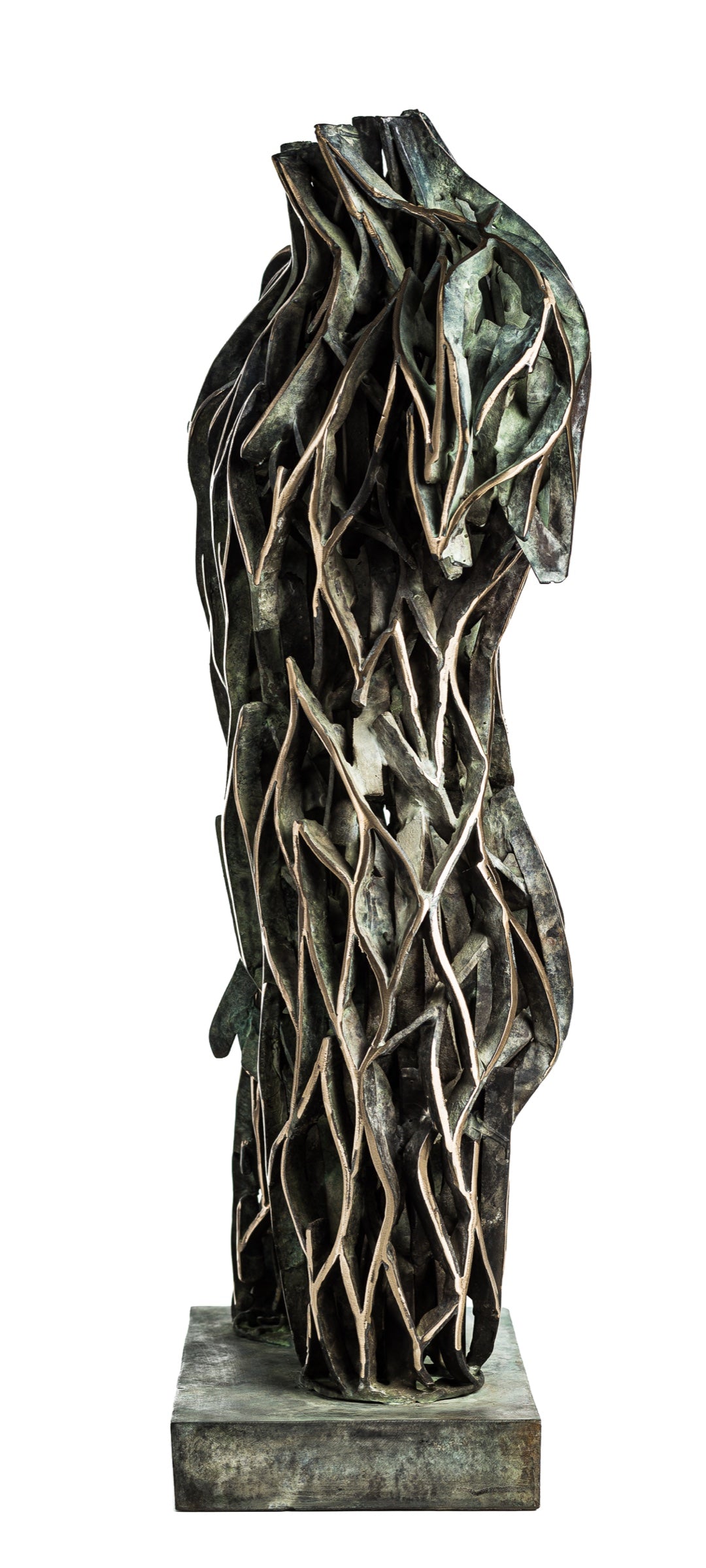 TMMP Bronze 1/8 by Zbigniew Blajerski