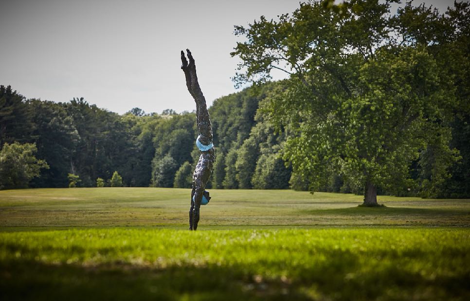 Deep Plunge by Jerzy Kędziora at Old Westbury Gardens