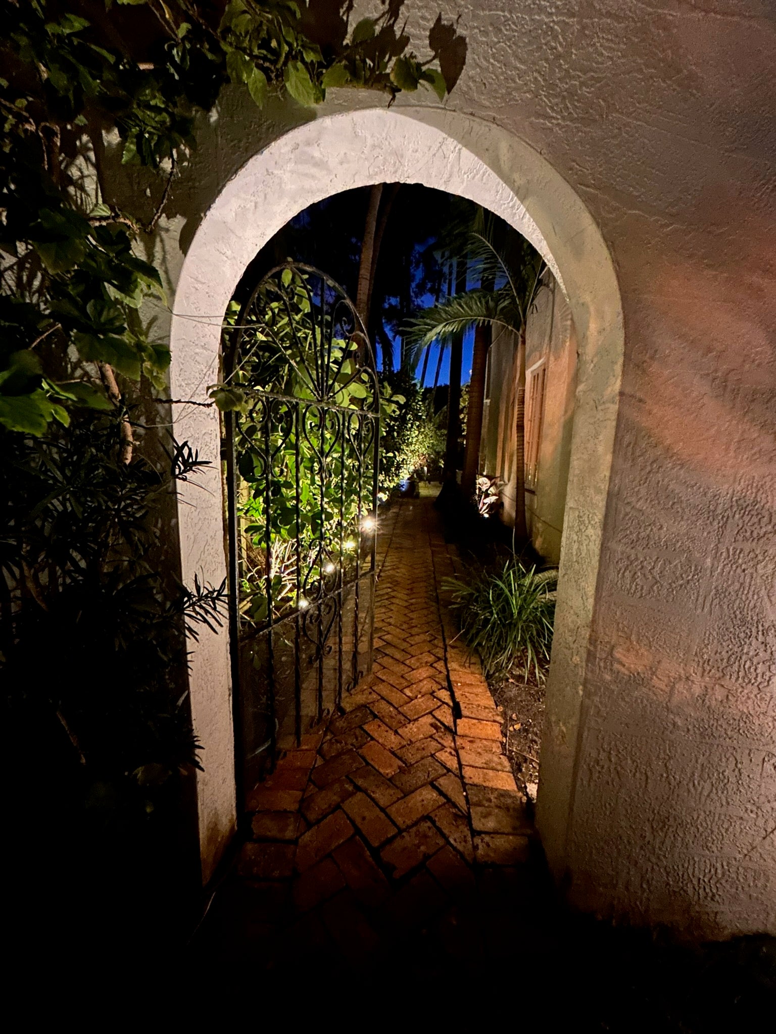 Garden passage at night