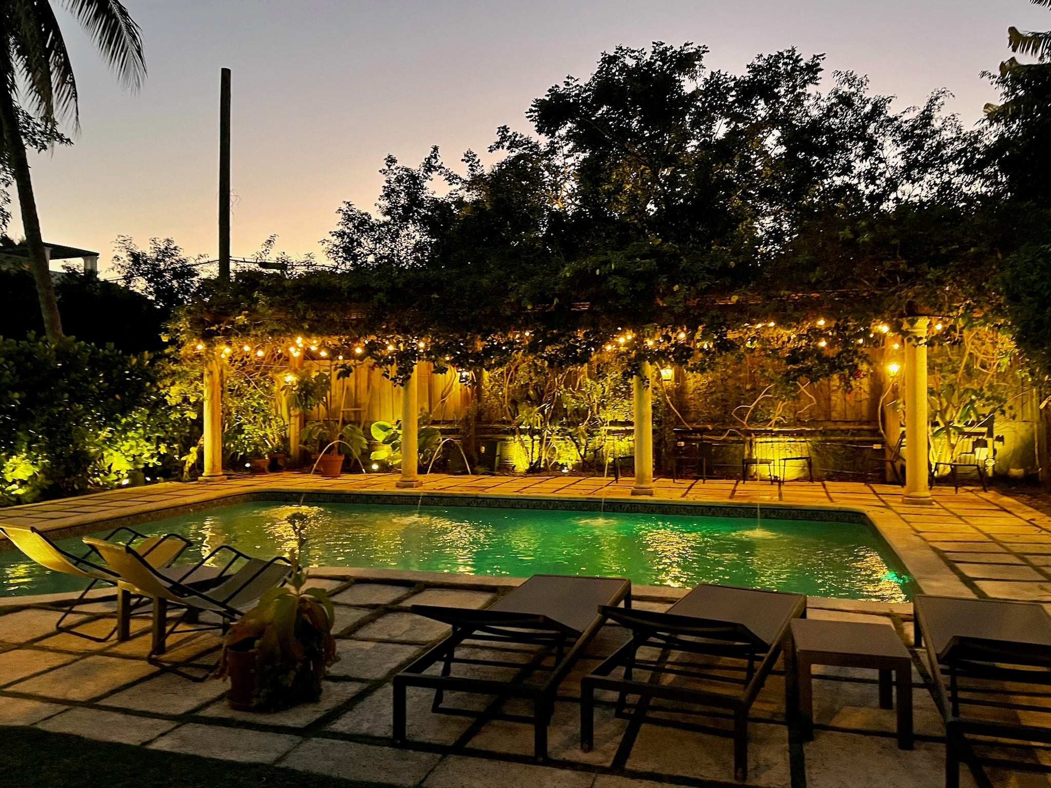 Pool and garden